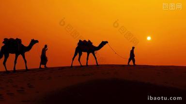 沙漠中穿行的骆驼